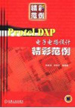 Protel DXP电子电路设计精彩范例