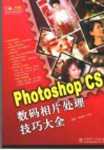 Photoshop CS数码相片处理技巧大全