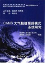 CAMS大气数值预报模式系统研究