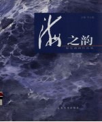 海之韵 海景油画作品选