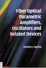 Fiber Optical Parametric Amplifiers