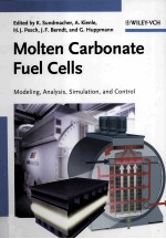 Molten Carbonate Fuel Cells Modeling