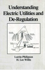 Understanding Electric Utilities and De-Regulation