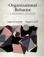 ORGANIZATIONAL BEHAVIOR AMANAGEMENT CHALLENGE