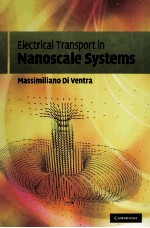 ELECTRICAL TRANSPORT IN NANOSCALE SYSTEMS