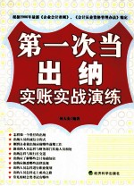 第一次当出纳实账实战演练