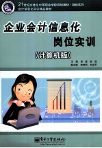 企业会计信息化岗位实训 计算机版