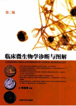 临床微生物学诊断与图解  第3版