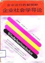 企业运行的新视野 企业社会学导论