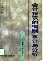 会计表报的编制、审计与分析