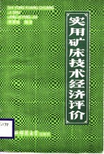 实用矿床技术经济评价