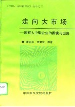 走向大市场 国有大中型企业的困境与出路