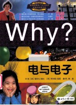 WHY？电与电子