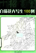 白描花卉写生100例