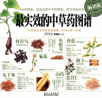 最实效的中草药图谱 畅销版