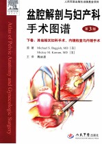 盆腔解剖与妇产科手术图谱  下  其他相关妇科手术  内镜检查与内镜手术  第3版