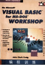 Visual Basic for MS-DOS编程训练