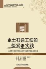 本土社会工作的探索与实践 北京青年政治学院社会工作专业教学团队论文汇编