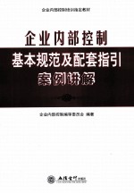 企业内部控制基本规范及配套指引案例讲解