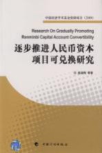 逐步推进人民币资本项目可兑换研究