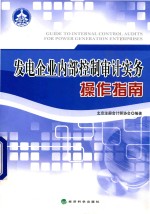 发电企业内部控制审计实务操作指南