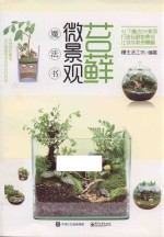 苔藓微景观魔法书