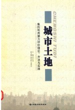 城市土地集约利用潜力评价理论、方法与实践