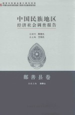 中国民族地区经济社会调查报告 鄯善县卷