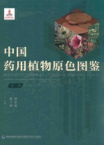 中国药用植物原色图鉴 第1册