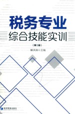 税务专业综合技能实训 第2版