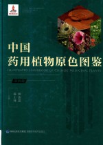 中国药用植物原色图鉴 第4册