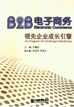 B2B电子商务 领先企业成长引擎