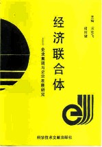 经济联合体 企业集团与企业发展研究