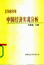 1989年中国经济实况分析