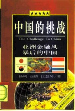 中国的挑战 亚洲金融风暴后的中国