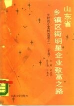 山东省乡镇区街明星企业致富之路