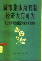 城市集体所有制经济大有可为 北京市解决劳动就业问题的情况调查