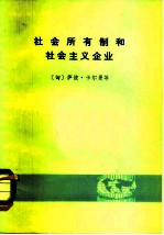 社会所有制和社会主义企业