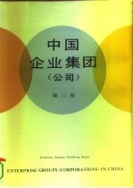 中国企业集团 公司 第2卷 汉英对照