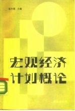 宏观经济计划概论