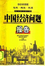 中国经济问题报告 世纪末的困惑 危机·挑战·机遇