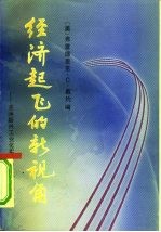 经济起飞的新视角 亚洲新兴工业化实体的政治经济分析