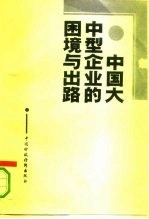 中国大中型企业的困境与出路