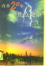 改革20年焦点论争  1978-1998  漩涡激荡·心灵角斗