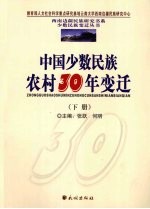 中国少数民族农村30年变迁 下