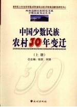 中国少数民族农村30年变迁 上