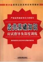 公共基础知识应试指导及深度训练 2009