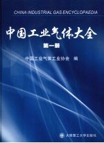 中国工业气体大全  第1册