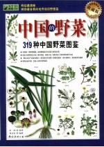 中国的野菜-319种中国野菜图鉴