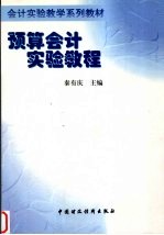 预算会计实验教程